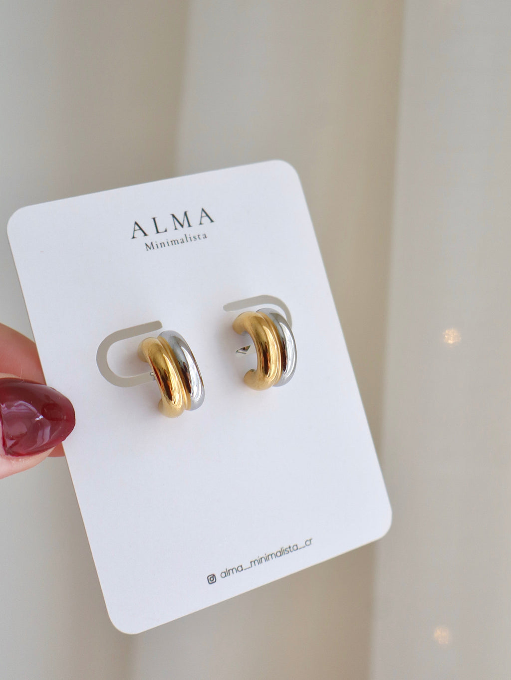 Aretes básicos bicolor