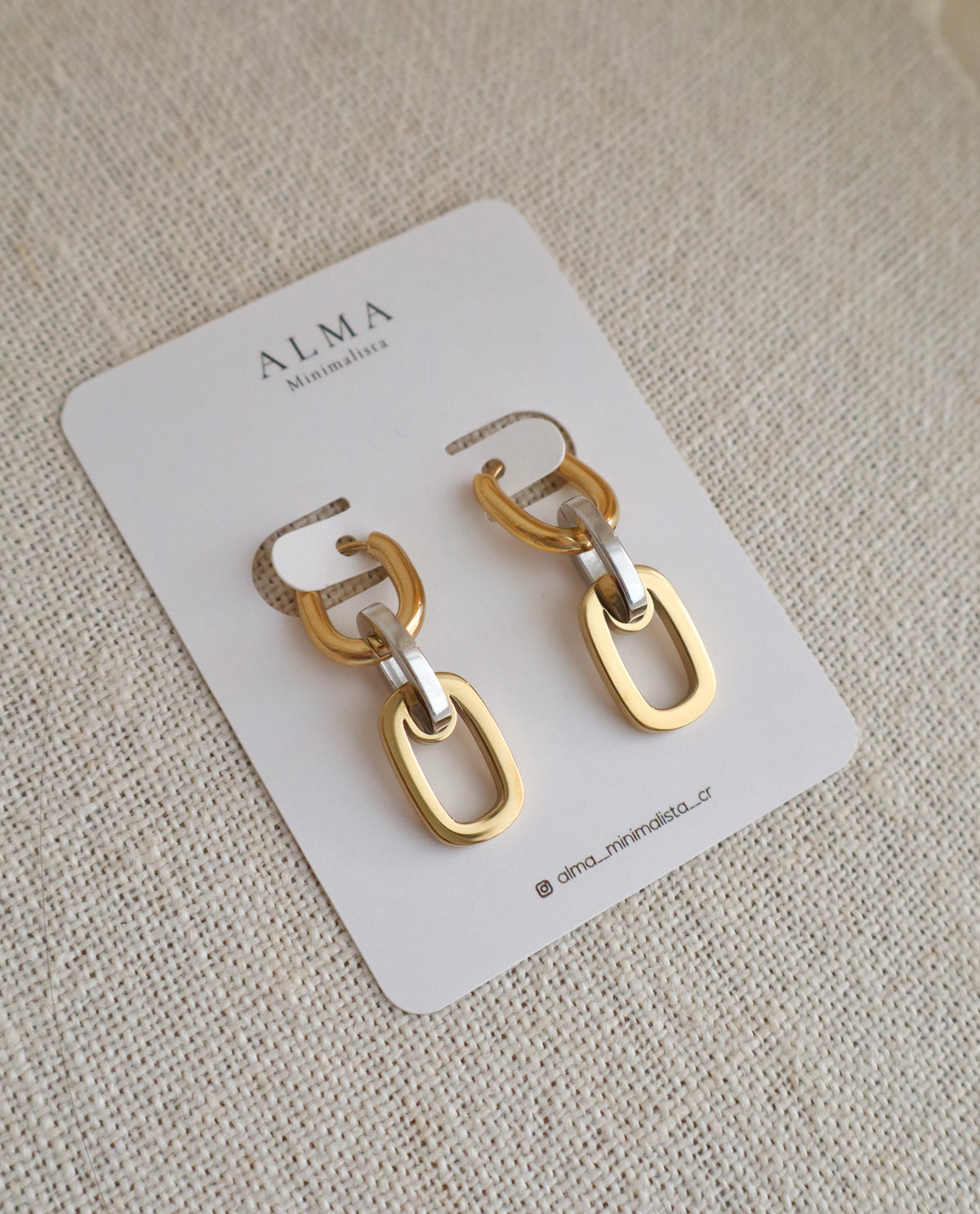 Dual Link Earrings